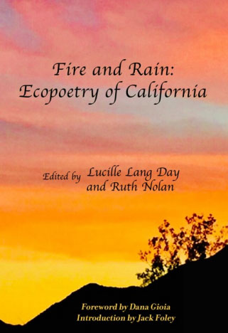 Fire and Rain book cover